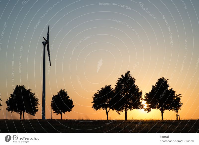 Spreedorado | Tree species Technology Energy industry Renewable energy Wind energy plant Environment Nature Landscape Plant Sky Cloudless sky Sun Sunrise Sunset