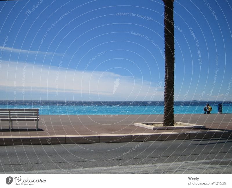 Beach_in_Nice Ocean Vacation & Travel Palm tree South Clouds Relaxation Turquoise Summer Sun Sky Curbside Sidewalk Monaco Cote d'Azur Blue sky Paradise Bench