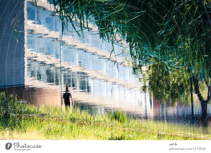 rvrbnk Office work Human being Man Adults 1 Nature Water Tree Grass River bank Town Building Natural Green Water reflection Distorted Ripple Reflection