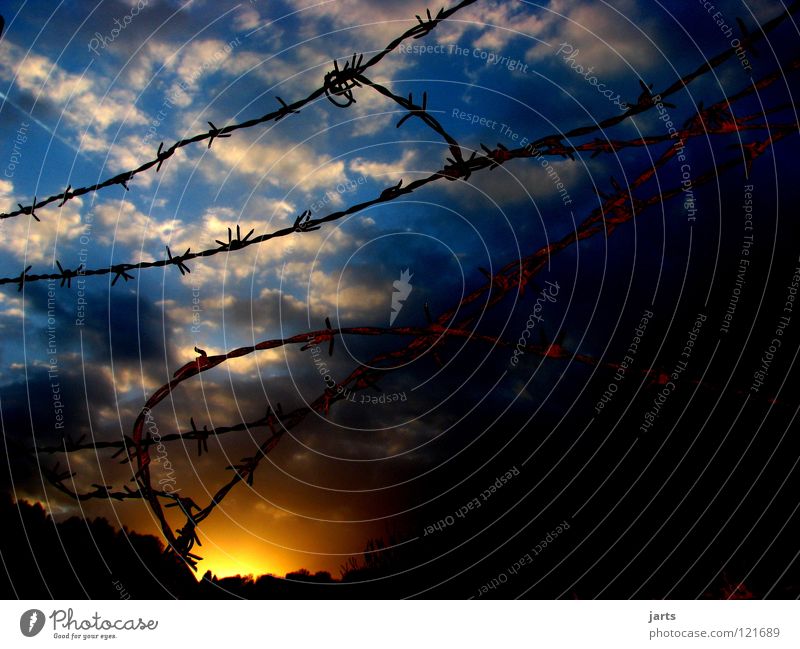 freedom Clouds Sunset Fence Barbed wire Captured Sky Detail Freedom Abentrot Penitentiary freight collect jarts