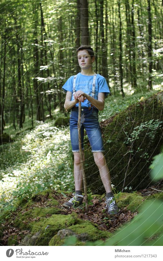 stick and stone Trip Adventure Masculine Child Boy (child) 1 Human being 8 - 13 years Infancy Summer Tree Forest Rock Jeans Suspenders Stand Hiking Wait