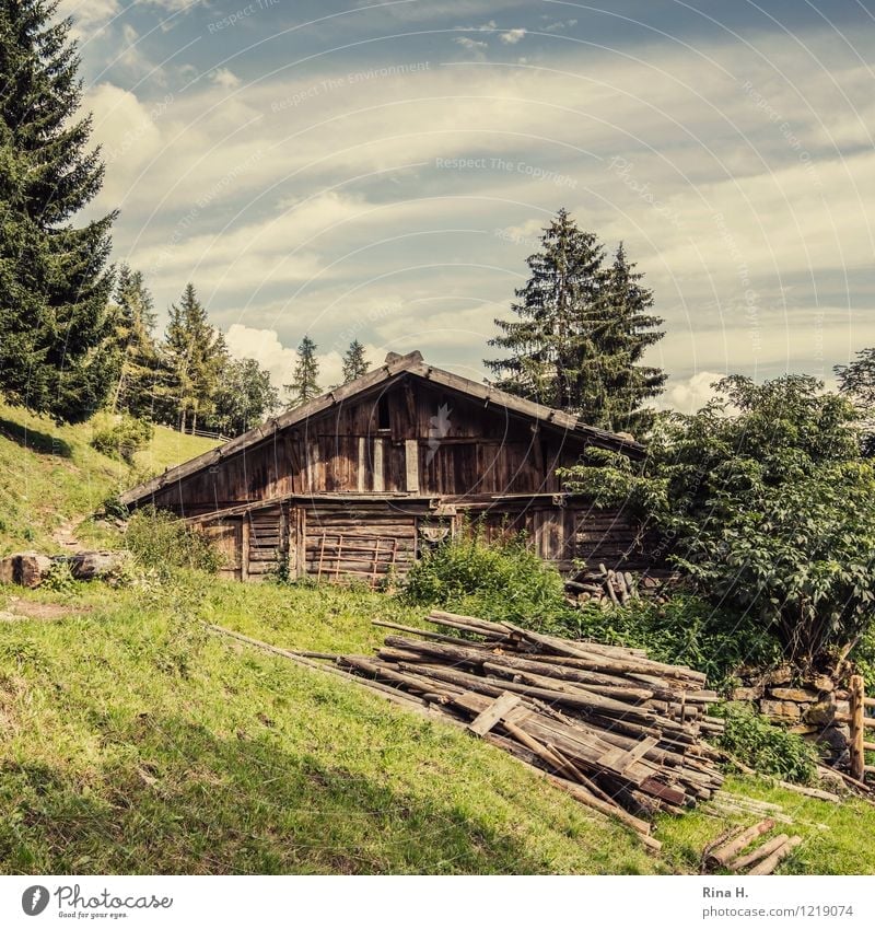 idyllic Nature Landscape Clouds Summer Forest Hill Alps Mountain South Tyrol Hut Building Authentic Natural Meran Wooden house Slope Rustic Colour photo
