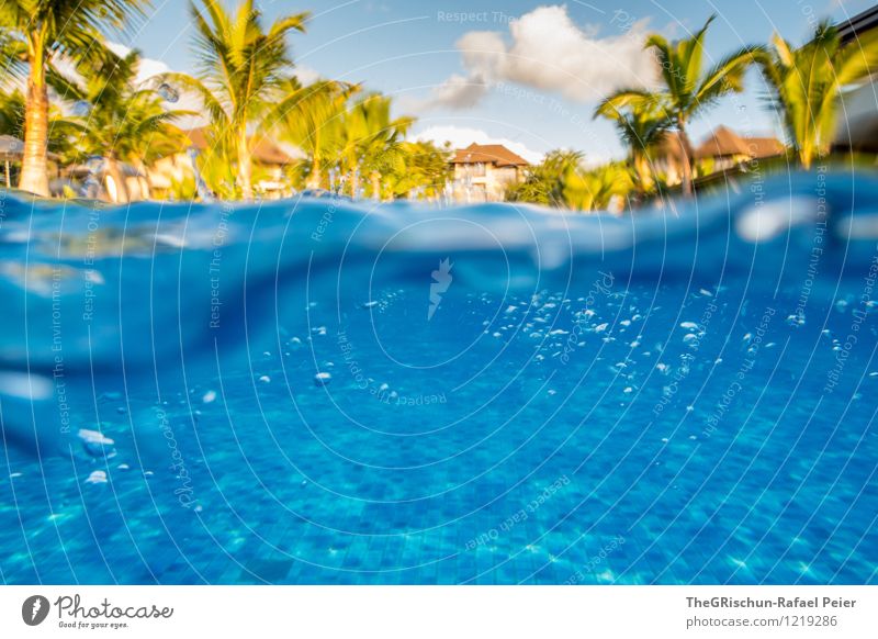 make waves Water Drops of water Blue Yellow Gold Green Black White Swimming pool Pattern Structures and shapes Chlorine Palm tree Tourist resort