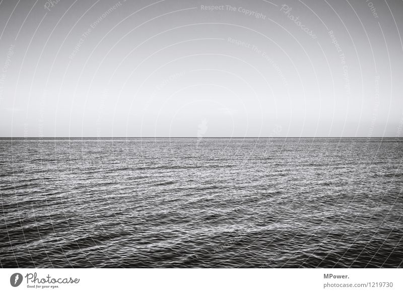 Calm sea Environment Beautiful weather Baltic Sea Ocean Romance Horizon Relaxation Empty Waves Swell Black & white photo Deserted Copy Space top