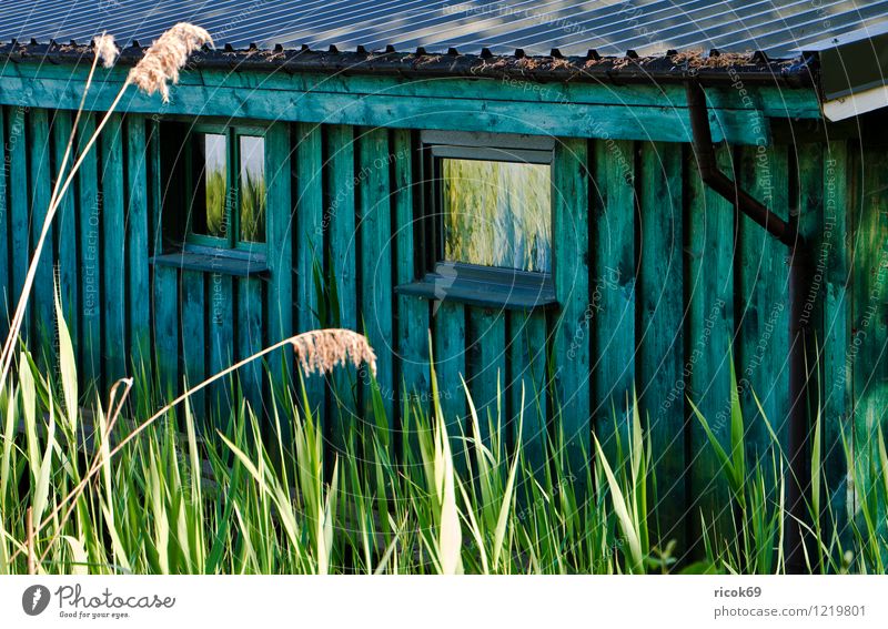 Detail of a boathouse House (Residential Structure) Nature Landscape Plant Coast Lakeside Roof Wood Blue Green Krakow at the lake Mecklenburg-Western Pomerania