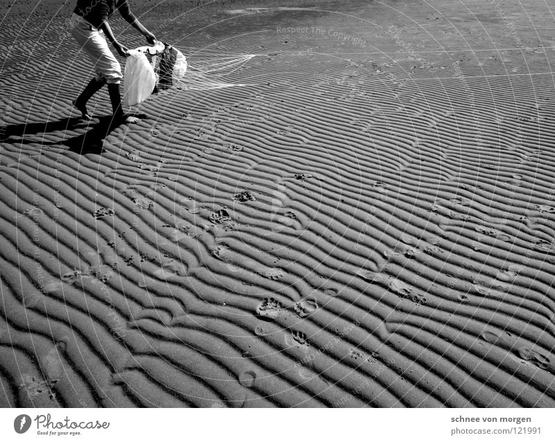 lines impressions flying Ocean Lake Summer Black White Low tide Speed Earth Sand Water mare sea Fly Dragon Wind Contrast Furrow Line Sign High tide Dynamics