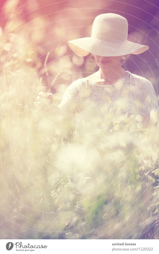 AK# summer evening Art Esthetic Contentment Dreamily Woman Kitsch Idyll Peaceful Dame Woman's body Hat To go for a walk Summer Summer evening Nature Discover