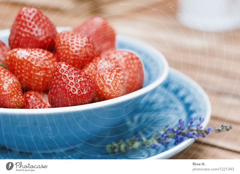 Delicious strawberries Fruit Strawberry Vegetarian diet Plate Bowl Natural Juicy Sweet Wooden table Pure Exterior shot Deserted Shallow depth of field