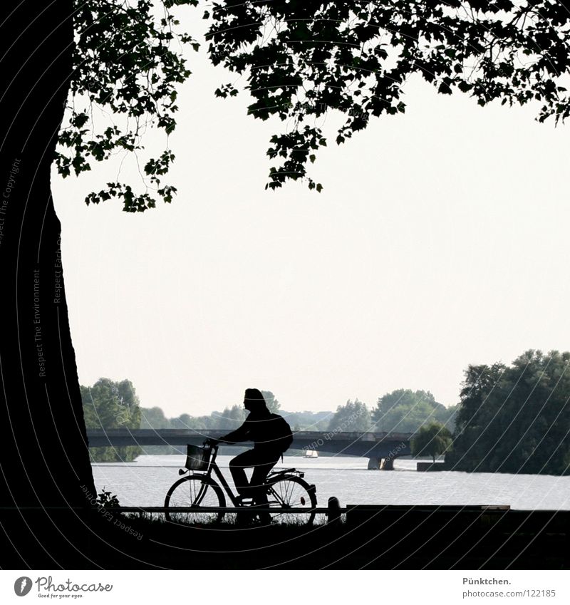 Münster Natives Bicycle Woman Leisure and hobbies Leaf Tree Lake Dark Spokes Fence Summer Weekend Bridge pier Contrast Lake Aa Tree trunk Water bicycle basket