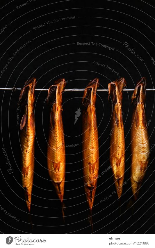 freshly smoked Fish Kipper - a Royalty Free Stock Photo from Photocase