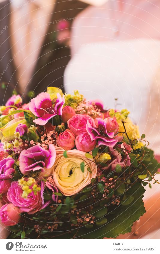 Yes, I want Human being Couple Partner Plant Flower Rose Leaf Blossom Beautiful Green Pink Happy Bouquet Matrimony Wedding Colour photo Interior shot Close-up