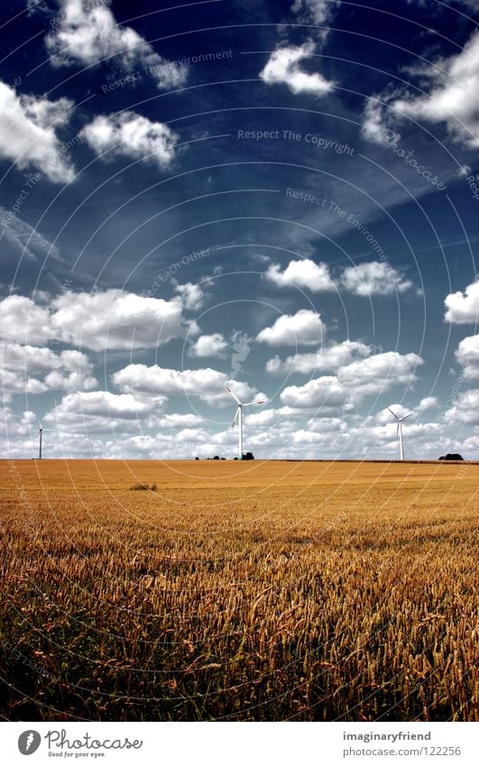 field with windmills Field Cornfield Agriculture Barley Wheat Rye Summer Clouds Sky Countries Electricity Science & Research Power Grain Landscape country