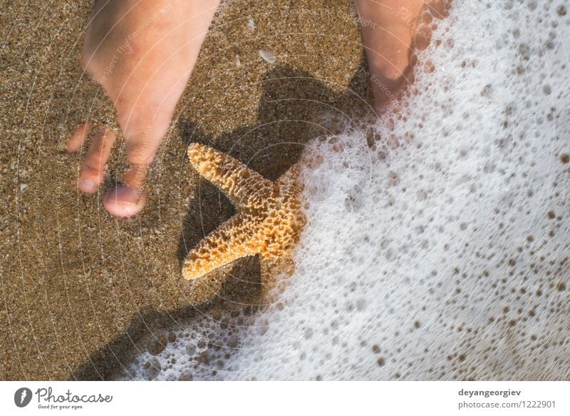 Starfish and feet on the beach Design Body Relaxation Vacation & Travel Summer Sun Beach Ocean Human being Girl Woman Adults Feet Nature Sand Coast Blue water