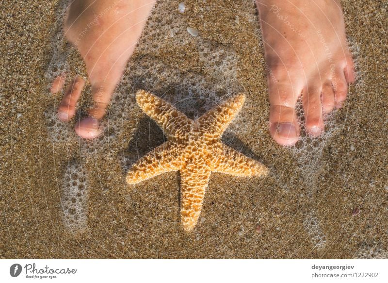 Starfish and feet on the beach Design Body Relaxation Vacation & Travel Summer Sun Beach Ocean Human being Girl Woman Adults Feet Nature Sand Coast Blue water