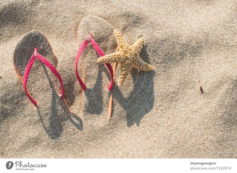 Pink sandals on the beach in the sand Relaxation Leisure and hobbies Vacation & Travel Tourism Summer Sun Beach Ocean Nature Sand Fashion Footwear Flip-flops