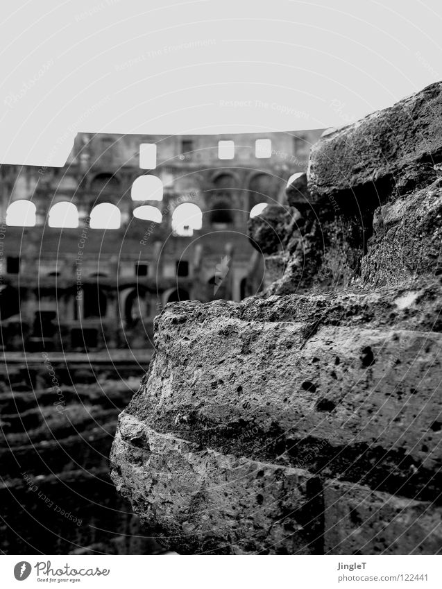 translucent heroic epic Hollow Window Round construction Pore Ancient Gladiator Ruin Rome Colosseum Landmark Monument Printed Matter tripartite finalisation