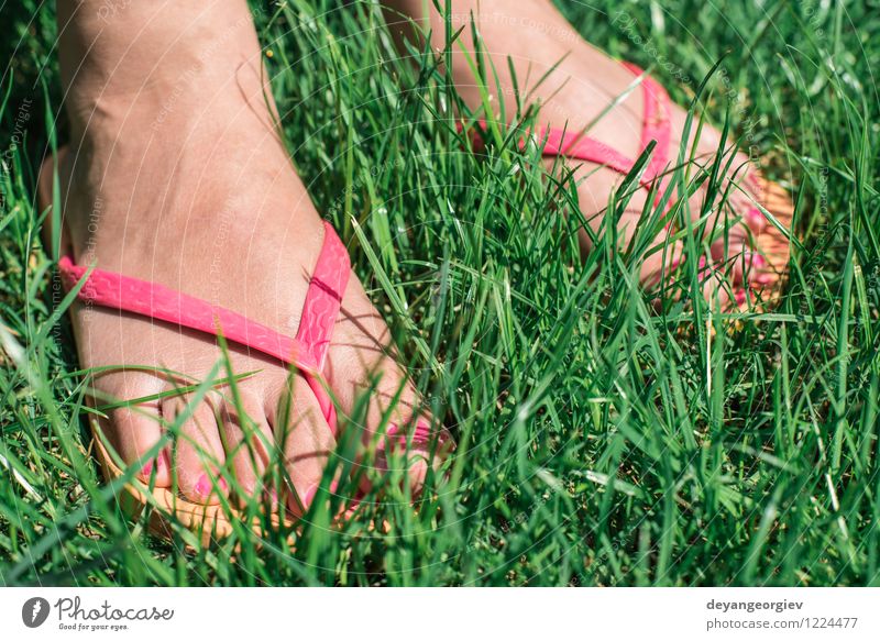Feet on green meadow Lifestyle Joy Beautiful Relaxation Leisure and hobbies Freedom Summer Garden Human being Girl Woman Adults Environment Nature Flower Grass
