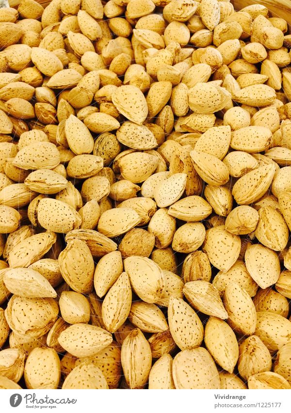 Almond nuts Food Dairy Products Fruit almond almond nuts Nutshell Nutrition Eating Snack Lifestyle Shopping Healthy Wellness Agriculture Forestry farming crop