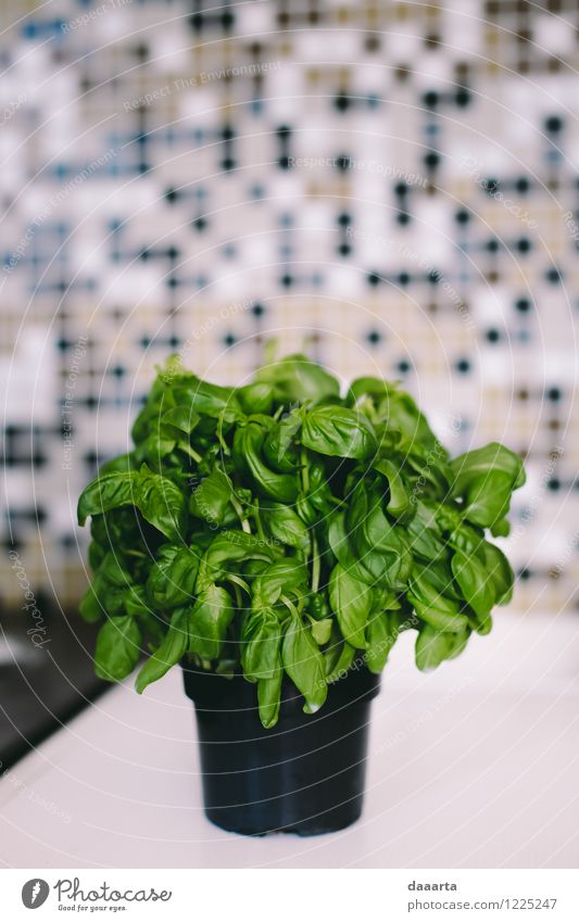 Basil day Food Nutrition Lifestyle Style Harmonious Leisure and hobbies Flat (apartment) Interior design Decoration Table Kitchen Plant Brash Hip & trendy Moody