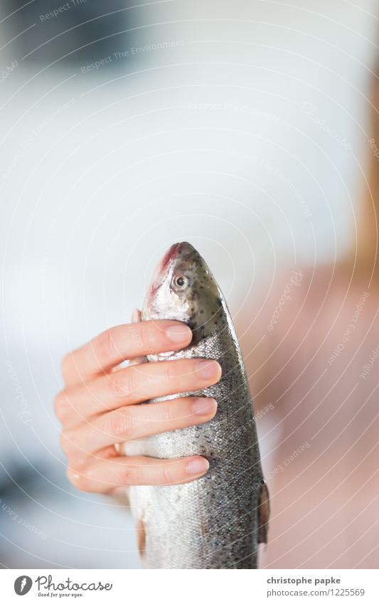 Fresh catch Fish Nutrition Feminine Hand 1 Human being Animal Dead animal Animal face Scales To hold on Trout Raw Colour photo Interior shot Close-up