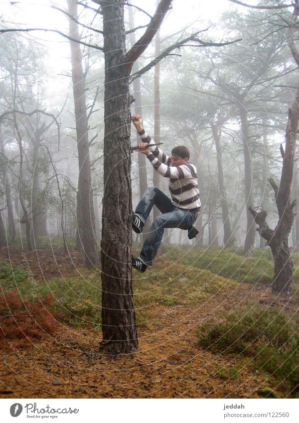 adventurous ;) Forest Fog Hang Wilderness Striped Tree Autumn To hold on Strong Adventure Joy Youth (Young adults) Guy Dynamics impress Nature Climbing Athletic
