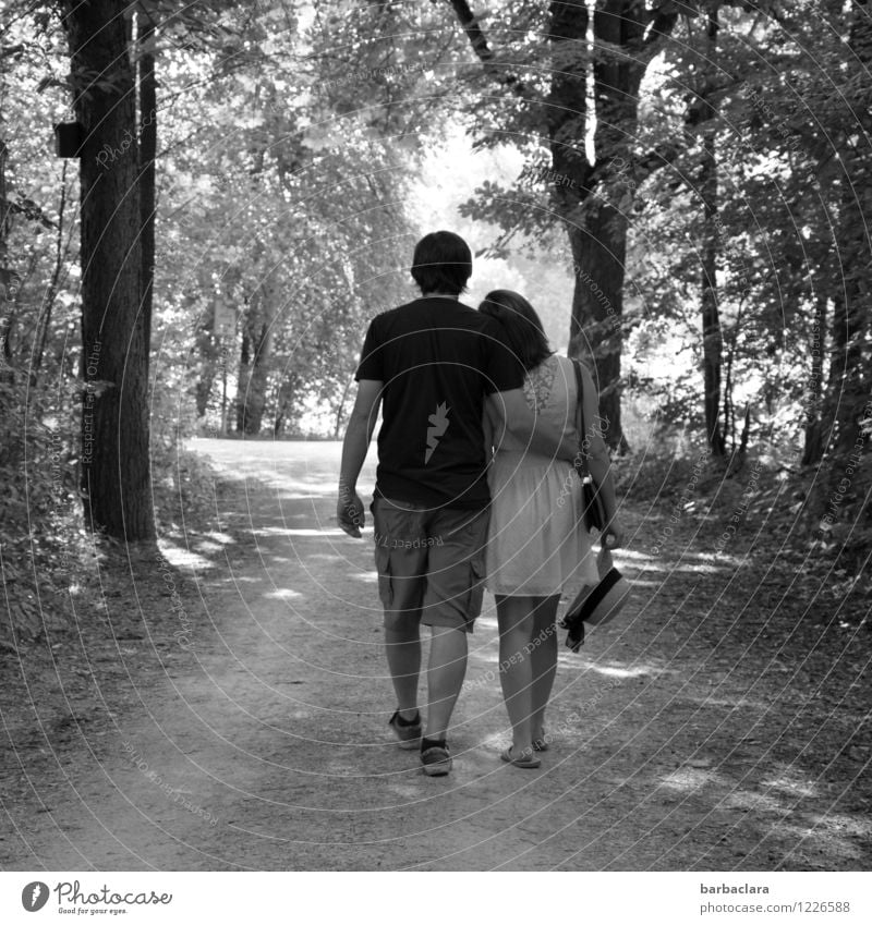 walk the road together Masculine Feminine Woman Adults Man Couple 2 Human being Nature Landscape Summer Forest Going Emotions Moody Happy Together Love Romance