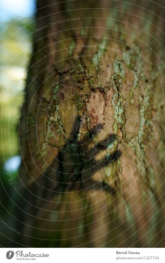 Beautiful WE Human being Masculine Hand Natural Tree trunk Tree bark Nature Sky blue Rough Salutation Touch Movement lensbaby Dynamics nature-lover Silhouette