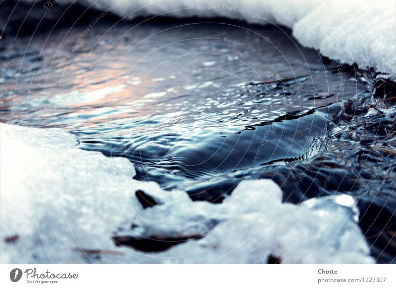 Iron brook. Nature Water Winter Ice Frost Snow Calm Colour photo Exterior shot Deserted Day Deep depth of field