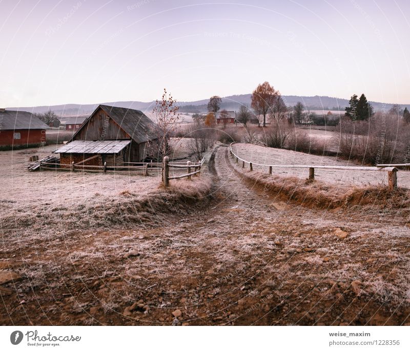november morning in carpathian village Landscape Sky Autumn Ice Frost Plant Tree Garden Meadow Hill Mountain Village House (Residential Structure) Park