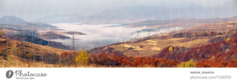 carpathian panorama Nature Landscape Sky Autumn Weather Fog Tree Bushes Field Forest Hill Mountain Village Small Town Stone Sand Wood Metal Water String Network