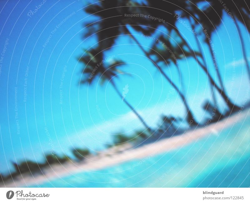Digital Paradise Screen Palm tree Pixel Blur RGB Red Green LCD Vacation & Travel Screensaver Sky Macro (Extreme close-up) Close-up Electrical equipment