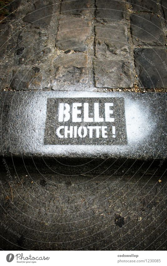 la rue des chiottes Characters Graffiti Town Curbside French Paris Cobblestones Subdued colour Exterior shot Copy Space top Copy Space bottom Bird's-eye view