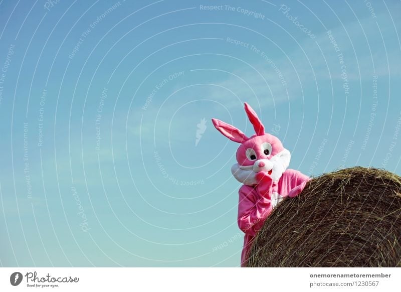 UPSIHU! Art Work of art Adventure Esthetic Hare & Rabbit & Bunny Hare ears Hare hunting Roasted hare Buck teeth Rabbit's foot Pink Carnival costume