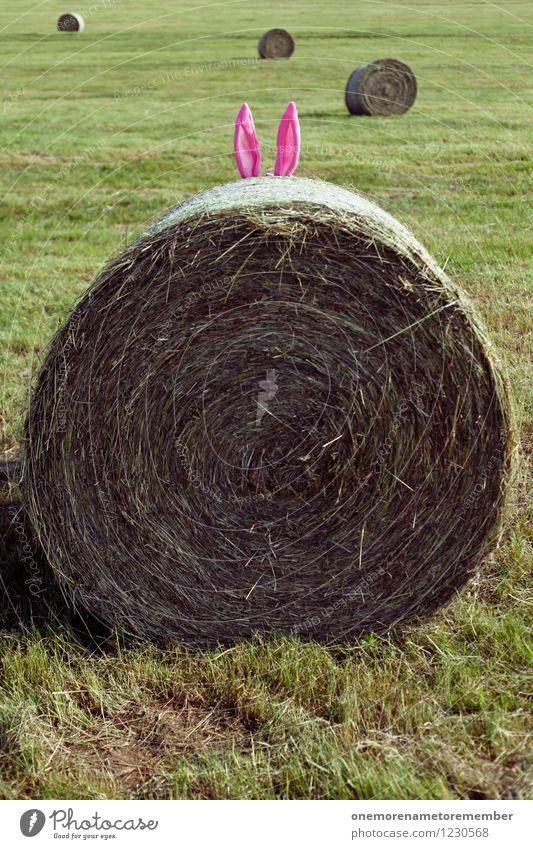 Easter Bunny? Art Esthetic Hide Hare ears Easter egg nest Pink Distinctive Beginner Bale of straw Ear Meadow Exterior shot Nature Funny Colour photo