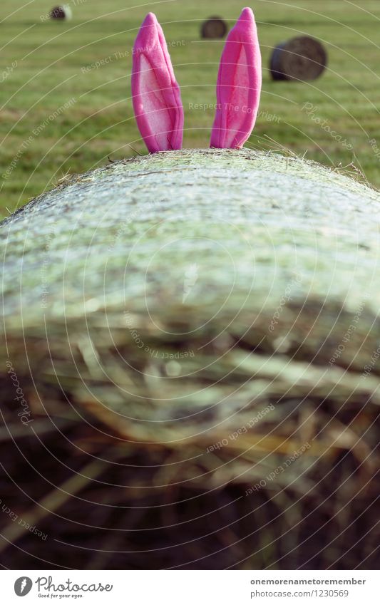 rabbit ears Art Esthetic Hare & Rabbit & Bunny Hare ears Hare hunting Roasted hare Ear Ear-piercing Hide Bale of straw Playing Funster Pink 2 Exterior shot