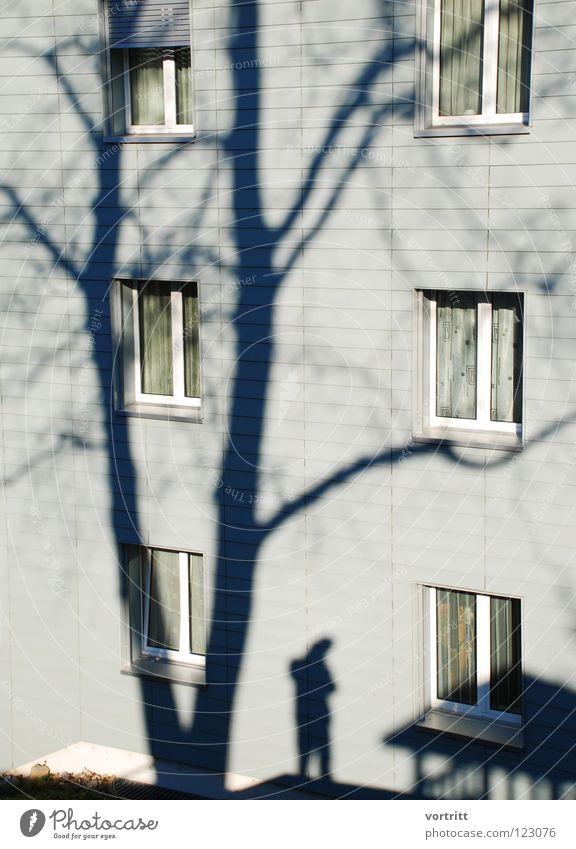 significant House (Residential Structure) Distinctive Window Photographer Winter Tree Story Drape Quarter Moody Shadow Self portrait designated