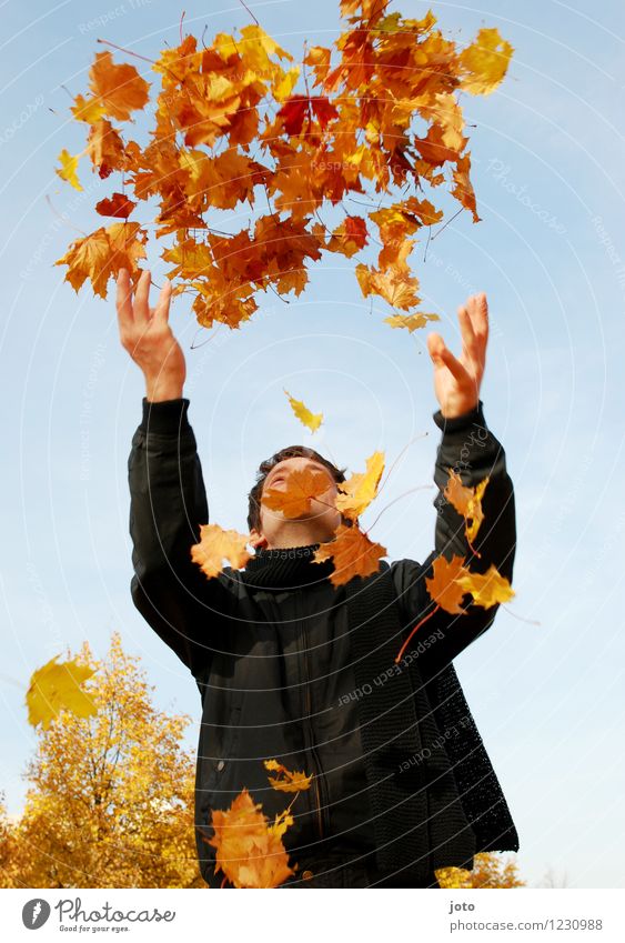 beginning of autumn Human being Man Adults Nature Autumn Beautiful weather Leaf To enjoy Throw Free Happiness Fresh Yellow Orange Joy Happy Contentment