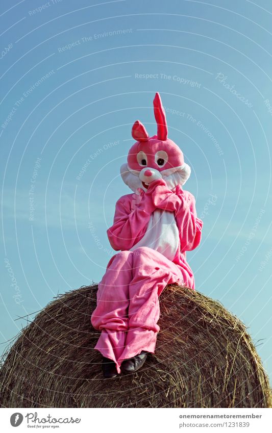 high hare Art Animal Pet Farm animal Esthetic Scare Sit Bale of straw Blue sky Carnival costume Dress up Pink Shame Timidity Furniture Carrot Colour photo