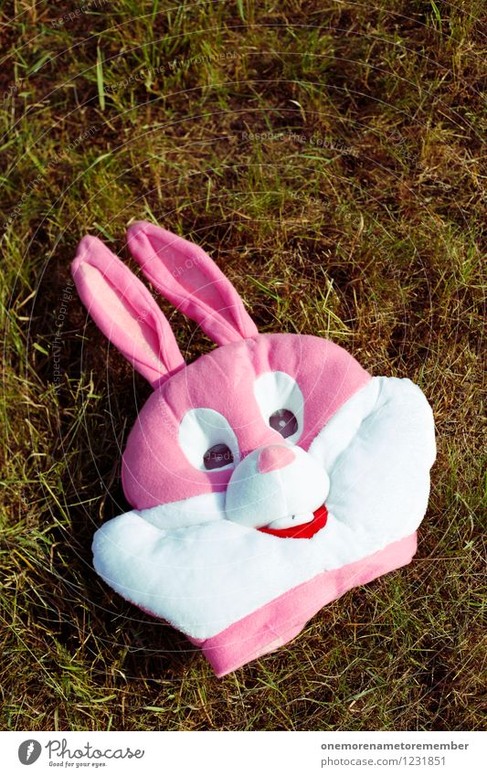 bannomask Art Esthetic Hare & Rabbit & Bunny Hare ears Hare hunting Roasted hare Buck teeth Mask Masked ball Carnival costume Pink Colour photo Multicoloured