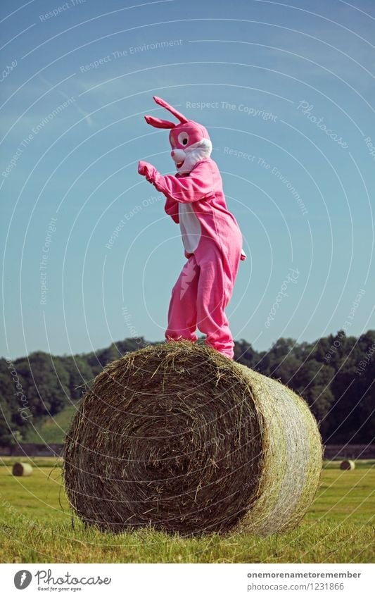 DANCER Art Work of art Radio (broadcasting) Esthetic Pink Hare & Rabbit & Bunny Hare ears Hare hunting Roasted hare Buck teeth Rabbit's foot Dance Tall Joy