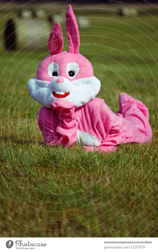rabbit Art Dreamily China Pink Hare & Rabbit & Bunny Carnival costume Meadow Sunbathing Eroticism Joy Disguised Colour photo Multicoloured Exterior shot