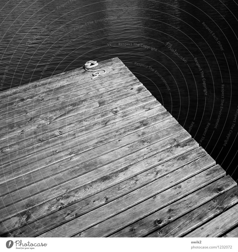 water cant Water Jetty Footbridge Sharp-edged Simple Maritime Rope Edge Corner Wood Wooden board planks Lake Dark Sadness Copy Space Black & white photo