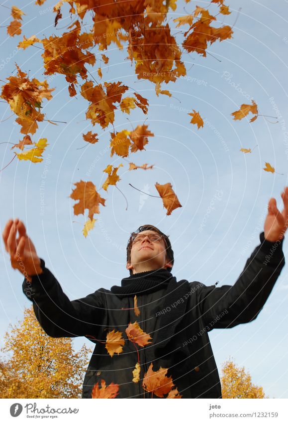 high up Joy Happy Life Contentment Freedom Human being Man Adults Nature Autumn Beautiful weather Leaf Flying To enjoy Throw Happiness Fresh Yellow Orange