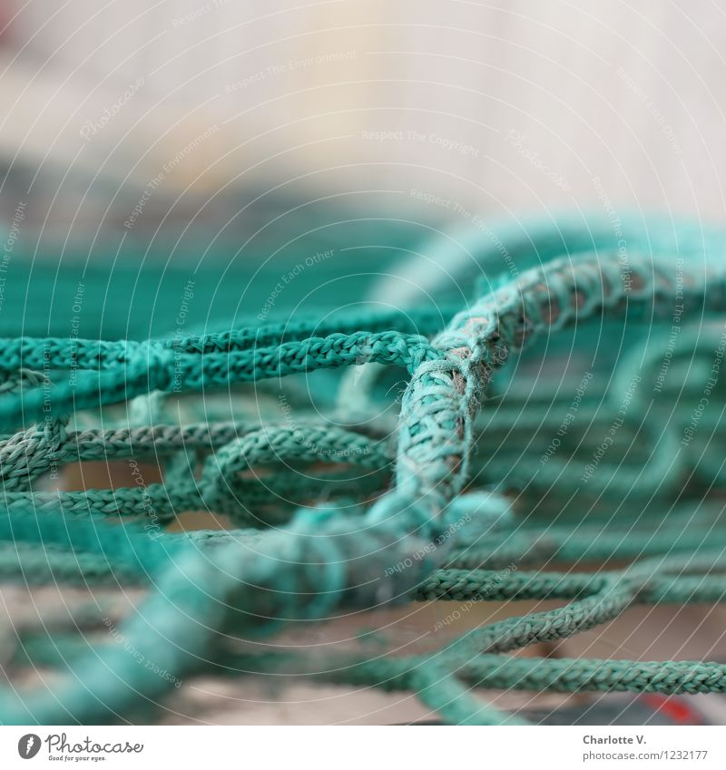 entanglements Plastic Line Net Network Lie Authentic Maritime Gray Green Turquoise Chaos Integration Synthesis Knot Reticular Cable pattern String Rope