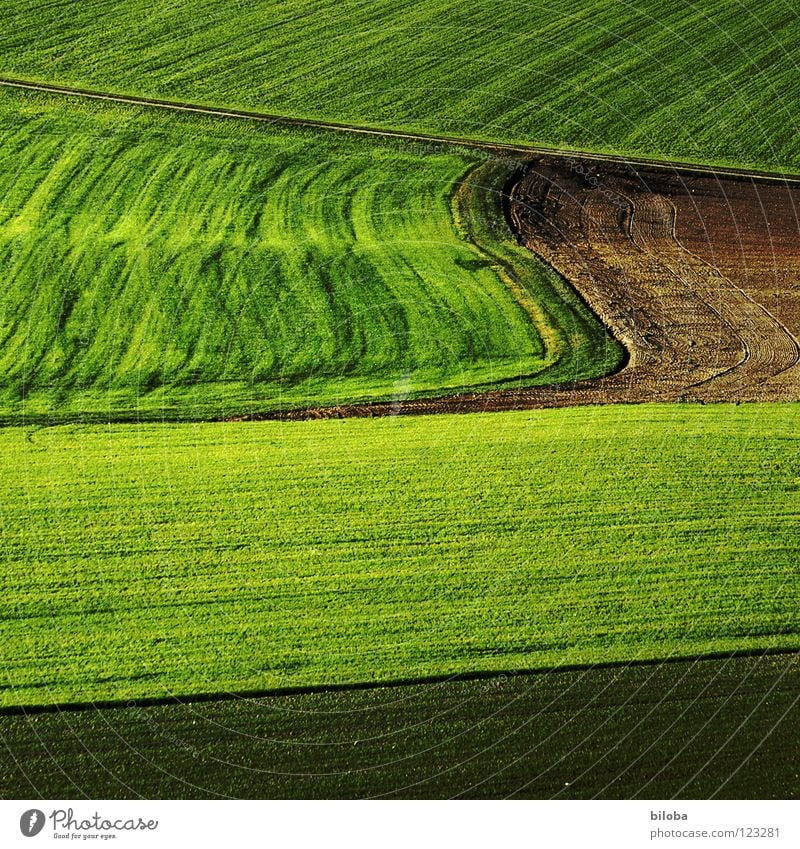 Art of farming II Pattern Plow Plowed Sprout Plantlet Back-light Shadow Autumn Food Agriculture Sowing Occur Green Fresh Life Field Product Waves