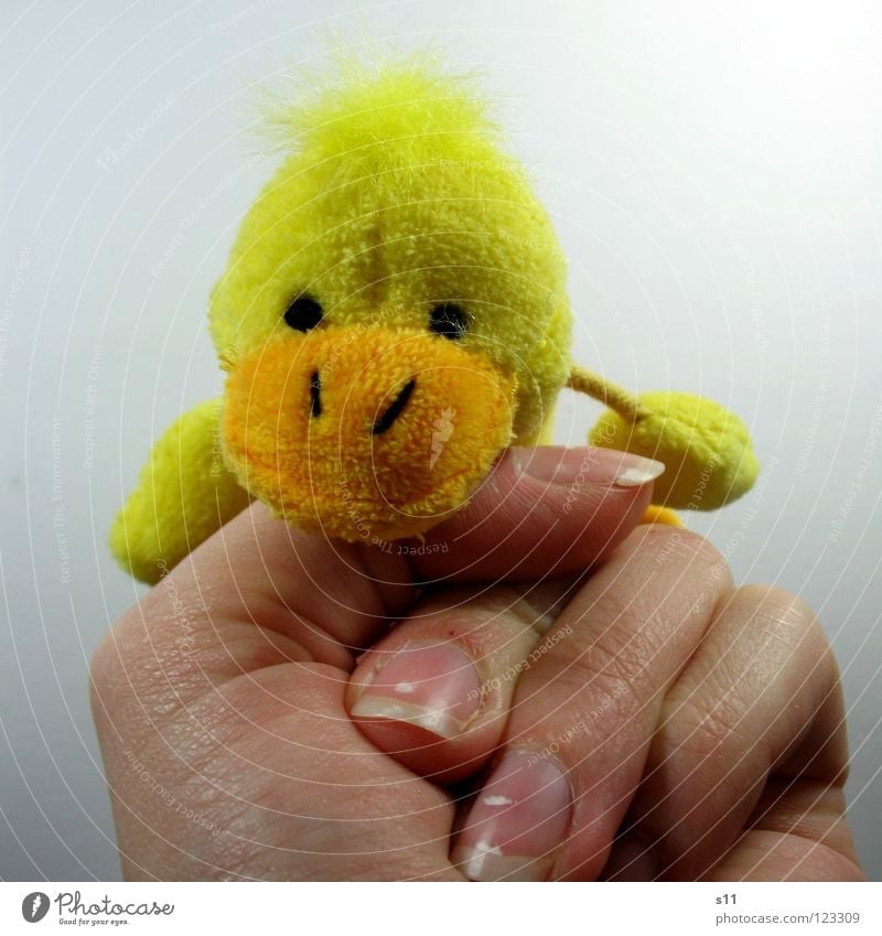 Duck Shoot Guguus. Plush Cuddly toy Finger puppet Toys Yellow Beak Hand Fingers Fingernail Fist Playing Forefinger Children's room Joy Hair and hairstyles Punk