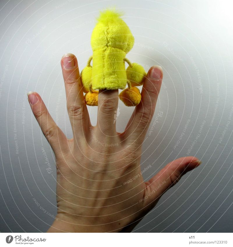 Duck shoot! Fuck you! Joy Hair and hairstyles Playing Children's room Infancy Back Arm Hand Fingers Feet Punk Footwear Toys Cuddly toy Funny Yellow Plush