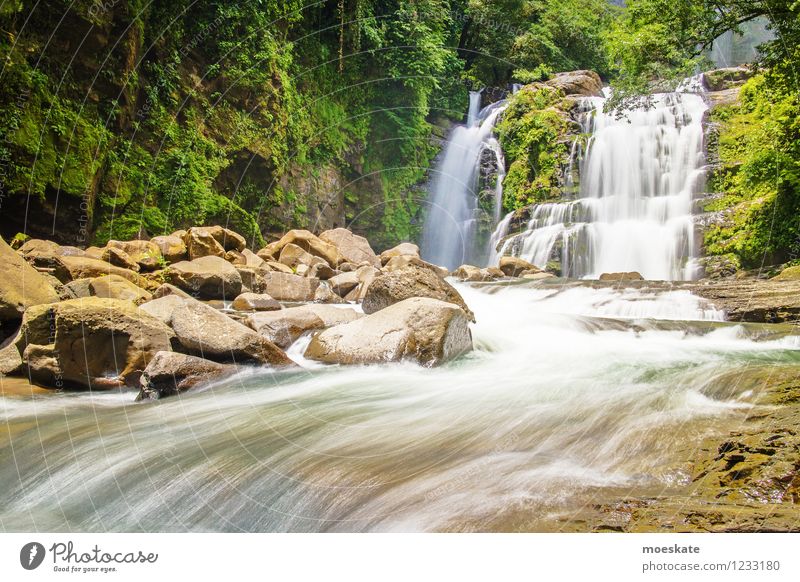 Nauyaca Falls Costa Rica Nature Elements Water Summer Forest Virgin forest Waterfall Gray Vacation & Travel Current Flow HDR Colour photo Multicoloured