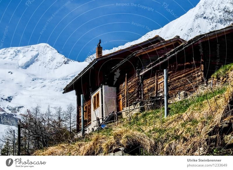 Walser houses Saas Fee Vacation & Travel Tourism Trip Far-off places Summer Summer vacation Mountain Environment Nature Landscape Cloudless sky