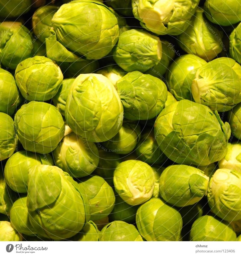 cabbage Brussels sprouts Cabbage Green Delicious Winter Small Ball Flower Blossom Cooking Vegetable Vegetarian diet Odor little crayfish Sphere Markets